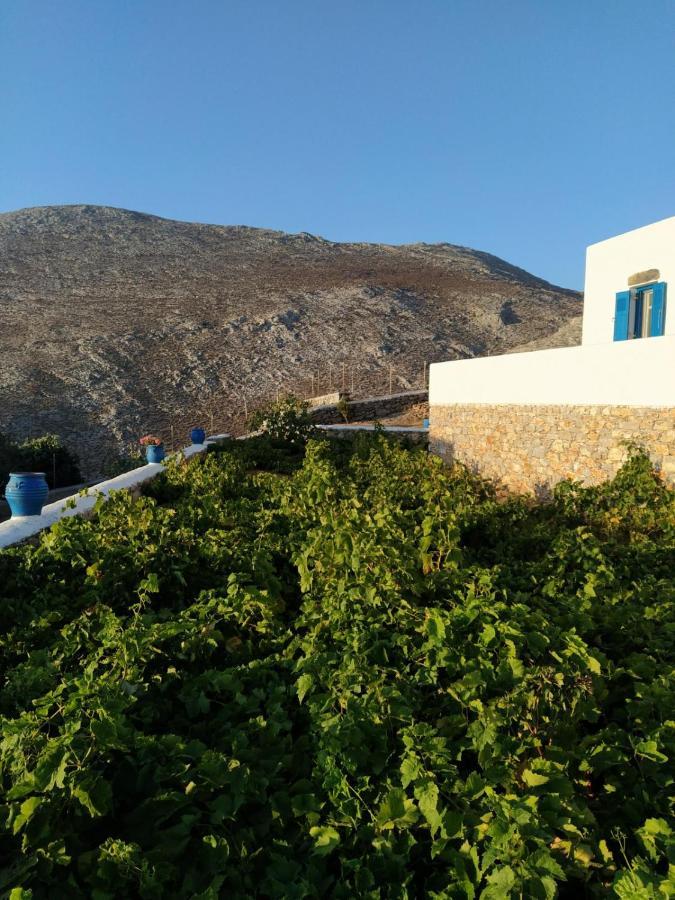 Cycladic Houses In Rural Surrounding Amorgos Ngoại thất bức ảnh