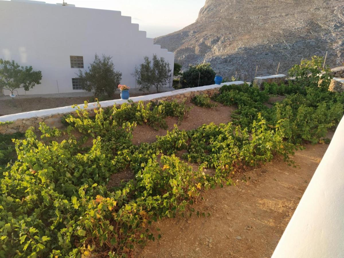 Cycladic Houses In Rural Surrounding Amorgos Ngoại thất bức ảnh